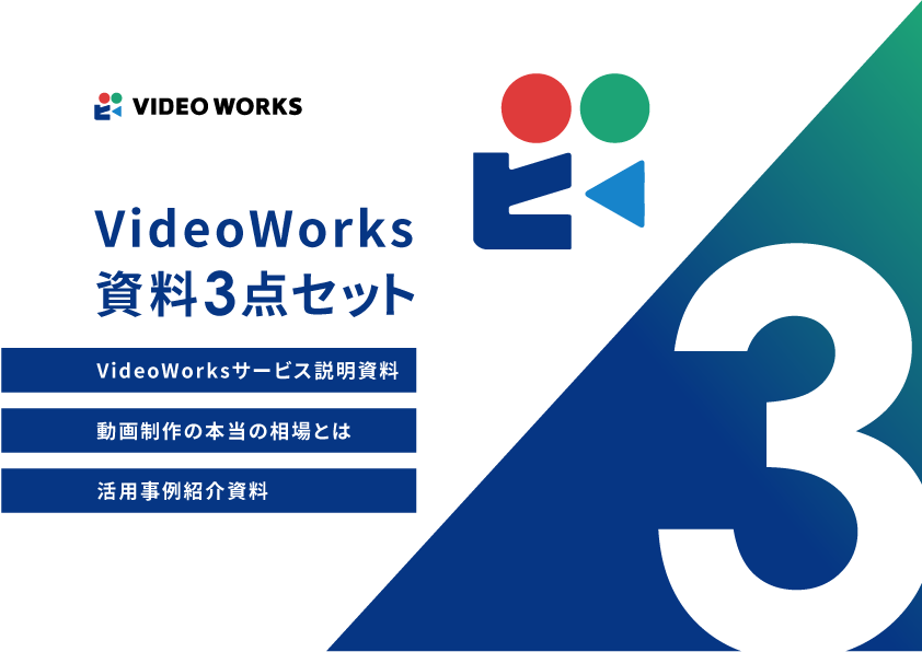 VideoWorks資料 3点セット