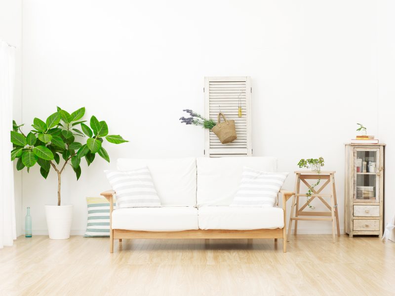 自宅/家/リビング/フローリング/観葉植物